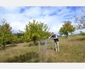 Bild: gi
Bei der Suche nach wertvollen Flächen im Sinne der Biodiversität fiel die Auswahl des Planungsbüros BKB aus Schwandorf auf ein gemeindliches Grundstück: einen Obstgarten an der Straße von Moosbach über den Neubau nach Burgschleif.