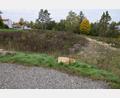 Bild: bö
Auf dem Theilberg in Schmidmühlen sollen bis zu neun Häuser mit 18 Ferienwohnungen auf dem ehemaligen Schildt-Firmengelände gebaut werden.