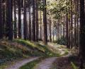 Bild: sfo
Ein Waldweg bei Bärnau. Noch bis Ende des Jahres kümmert sich Förster Stefan Gradl um das Wirtschaften im Stadtwald und im Wald der Stadt Bärnau Kommunal GmbH. Sein Nachfolger kommt laut Stier aus dem Raum Bärnau.