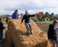 Bild: le
Riesengaudi auf dem Kartoffelacker. Die Kinder genießen den Nachmittag in der freien Natur. Vor allem die Strohballenrutsche hat den Kindern angetan.