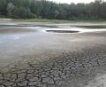 Bild: oe
Die Sandgrube 1 musste abgefischt werden. Hier hatte kein Wasserbewohner eine Chance zu überleben.