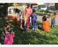 Bild: cro
Die knallroten Äpfel leuchten mit dem bunten Laub um die Wette. Bei herrlicher Oktobersonne sammelten die Kindergartenkinder gemeinsam mit ihren Betreuerinnen Dagmar (Vierte von rechts) und Julia (links) und der Jungen Union die Äpfel vom Gemeindebaum am Rathaus.