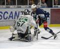 Archivbild: Gebert
Die noch ungeschlagenen Blue Devils Weiden treten am Wochenende bei den Höchstadt Alligators und gegen den EC Peiting an. Das Bild zeigt Philipp Siller beim 3:2-Heimsieg gegen Rosenheim vor dem Kasten von Starbulls-Goalie Christopher Kolarz.