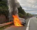 Bild: Polizei Marktredwitz/exb
Nach dem Autorennen zwischen Mutter und Sohn steht eines der Fahrzeuge auf der A93 in Flammen.