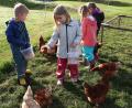 Bild: Petra Stemmler-Richter/SVLFG/exb
Kinder der Kindertagesstätte St. Markus aus Weiden füttern die Hühner auf dem Bauernhof der Familie Ziegler in Rupprechtsreuth.