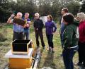 Bild: bph
Vorsitzender Hermann Erl (links) nimmt sich sehr viel Zeit für die Neuimkerausbildung auf dem Lehrbienenstand am Angerweiher in Nabburg. Ruhiges, besonnenes Arbeiten am Bienenstock mit sanftmütigen Völkern erfordert da keine Schutzkleidung.