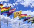 Bild: Negro Elkha/Adobe Stock
Mitglieder der queeren Community identifizieren sich über eine eigene Flagge. Eine Auswahl welche Flagge was bedeutet, haben wir hier zusammengestellt.