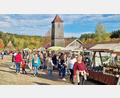Bild: Thomas Dobler
Der Kirchweihmarkt zog viele Besucher ins Freilandmuseum Neusath