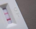 Symbolbild: Sebastian Gollnow/dpa
Die Infektionszahlen im Landkreis Schwandorf sind im Vergleich zur Vorwoche zurückgegangen.