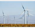 Symbolbild: Hauke-Christian Dittrich/dpa
Auch weiterhin gegen den Bau von Windrädern in der Region einsetzen will sich die Bürgeraktion "Gegenwind". Das wurde bei der Jahreshauptversammlung am Mittwoch in Waldsassen deutlich.