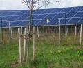 Bild: wel
So eine PV-Freiflächenanlage wird es schon bald auch in Pottenhof geben. Die Gemeinderäte stimmten dem Antrag auf Änderung des Flächennutzungsplans zu, so dass die Firma P+S Energie GbR Oberviechtach schon bald starten kann.