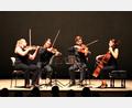 Bild: stg
Das Barbican Quartet sorgt für einen grandiosen Auftakt der neuen Saison der Weidener Meisterkonzerte.