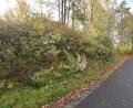 Bild: no
Das steile gemeindliche Waldgrundstück entlang der Waldstraße in Illschwang kann der Bauherr für fünf Jahre pachten und optisch gut gestalten.