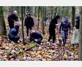 Bild: le
Neustädter Gymnasiasten arbeiten im Flosser Forst. Dort ernten sie heuer sogenannte Wildlinge, Jungpflanzen besonderer Bäume, die an anderer Stelle wieder verpflanzt werden können.