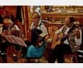 Bild: R. Kreuzer
Begeisterndes Volksmusik-Musikantentreffen des OWV Weiden in der „Strobelhütte“, hier spielt die Wirtshauseck Musik.