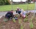 Bild: Maria Treiber/exb
Die Nachwuchsgruppe „Naturforscher“ des Gartenbauvereins Neunaigen fördert mit mehreren insektenfreundlichen Anpflanzungen die Artenvielfalt.