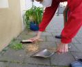Bild: Tobias Gräf
Es ärgert die Anwohner in der Sulzbach-Rosenberger Innenstadt – und es bereitet ihnen Arbeit: Wie hier vor dem Bio-Laden Kornkistl müssen viele Stadtbewohner regelmäßig illegal ausgestreutes Taubenfutter beseitigen.