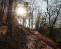Archivbild: Petra Hartl
Der November bringt einstellige Temperaturen und Herbstwetter.