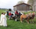 Bild: kro
Viele Pferdeliebhaber und -freunde waren zum Leonhardi-Fest eigens mit ihren Tieren nach Marchaney gekommen. Sogar eine Pferdekutsche war bei der Pferdesegnung anzutreffen.