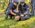 Bild: Müller/exb
Die angehenden Polizeibeamten absolvierten eine mehrtägige Übung im Schwarzenfelder Schlosspark.