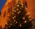 Archivbild: Petra Hartl
Sowohl die Fassade des Sulzbach-Rosenberger Rathauses als auch der Christbaum werden dieses Jahr nicht beleuchtet.
