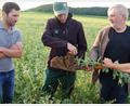 Archivbild: Ökomodellregion Amberg-Sulzbach/Stadt Amberg/Barbara Ströll/exb
Frisch vom Feld zu den Menschen. Wie Landwirte ihre Produkte besser vermarkten können, dazu will das Netzwerk regionale Erzeuger und Verarbeiter Tipps geben.