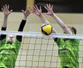 Symbolbild: Hubert Ziegler
Die Volleyballer des VC Amberg unterlagen im Auswärtsspiel beim SVS Türkheim.