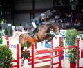 Bild: ACP Pauline Ullmann/exb
Springreiterin Sabrina Berger aus Amberg gewann souverän mit ihrem zwölfjährigen Holsteiner Wallach Quidams Star Melloni den Großen Preis von Sachsen in Chemnitz. Zuvor war sie schon Siegerin eines Turniers in Wiener Neustadt.