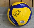 Symbolbild: Hubert Ziegler
Die Volleyballer des VC Amberg sind zu Gast beim TV Bad Windsheim.