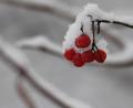 Bild: Angelika Warmuth/dpa
Am Wochenende schneit es in der Oberpfalz.