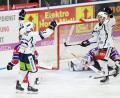 Bild: Roland Rappel
Die Blue Devils empfangen am Sonntag den Deggendorfer SC. Im Hinspiel bejubelten die Weidener (im Bild Tomas Rubes, links, und Robert Hechtl) in Niederbayern einen 4:0-Erfolg.
