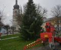 Bild: jr
Am Donnerstag haben Mitarbeiter des gemeindlichen Bauhofs am Therese-Neumann-Platz in Konnersreuth einen Christbaum aufgestellt.