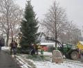 Bild: bsc
Den Christbaum in Frauenreuth haben Mitglieder des Schützenvereins Frauenreuth bereits am Wochenende auf dem Dorfanger (Bild) errichtet. Am kommenden Samstag können von Besuchern zugunsten einer Spendenaktion Christbaumkugeln angebracht werden.