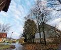 Bild: Portner
Die zwei großen Weiden (rechts) gegenüber dem Feuerwehrhaus in Pirkhof fallen unter die Baumschutzverordnung. Der Stadtrat genehmigte die Fällung der geschädigten Bäume.