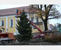 Bild: gi
Karl Koller und Christian Scherer vom Moosbacher Bauhof haben einen schmucken Weihnachtsbaum am Marktplatz aufgestellt und verankert. Auch die Beleuchtung ist schon angebracht.