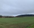 Bild: Kett/exb
Südlich von Edeldorf am Waldrand Richtung Weiden will die Nürnberger Greenovative einen Solarpark errichten. Der Gemeinderat hat grünes Licht gegeben.