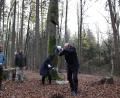 Bild: Bayerisches Finanz- und Heimatministerium /Christian Blaschka
Anfang November pflanzte Heimatminister Albert Füracker gemeinsam mit Landwirtschaftsministerin Michaela Kaniber (im Hintergrund) die ersten der 1000 Bäume, für welche die Umfrage-Teilnehmer Baumpatenschaften gewinnen konnten.
