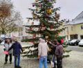 Bild: Kostner/exb
In einer gemeinschaftlichen Aktion mehrerer Vereine wurde der Baum auf dem Pfreimder Marktpatz aufgestellt und geschmückt.