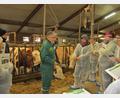 Bild: Herbert Wendl/AELF Regensburg-Schwandorf/exb
Mit dem Klemmbrett in der Hand bestimmten die Bäuerinnen unter Anleitung von Kuhflüsterer Christian Manser die Kühe im Stall des Weilhammerhofs in Ponholz.