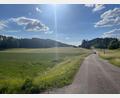 Bild: lei
Zwischen Eschenfelden und Ratzenhof soll links von der Straße eine Freiflächenphotovoltaikanlage realisiert werden.