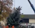 Bild: sei
Der Christbaum schwebt in Mantel ein. Der ganze Markt ist besonders dekoriert und wartet mit vielen Veranstaltungen auf.