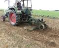 Archivbild: ils
Die Ernte bei den Kartoffelanbauern für die Chipsproduktion im Landkreis Neustadt ist heuer ziemlich schlecht ausgefallen.