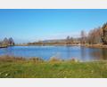 Bild: gi
Idyllisch liegt der Badeweiher östlich von Tröbes. Doch wie es 2023 hier weitergeht, scheint noch lange nicht geklärt.