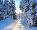 Archivbild: bsc
Winterwunderland Steinwald: Alle Jahre dürfen sich im Winter Naturliebhaber, Spaziergänger und Skilangläufer an derartigen Impressionen erfreuen.