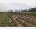 Bild: wro
In einigen Monaten soll hier das Projekt Solarpark Fuchsmühl II umgesetzt werden, das bereits im Frühjahr dieses Jahres vorgestellt wurde. Der Marktgemeinderat stimmte nun Änderungen in der Bauleitplanung zu.