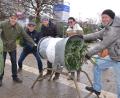 Bild: Kunz
Lions und Leos Hand in Hand beim traditionellen Christbaumverkauf vor der Max-Reger-Halle.