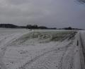 Bild: jr
Knapp 13 Hektar groß ist die Fläche, auf der der "Solarpark Leonberg" geplant ist. Das Areal liegt im Bereich zwischen dem Gut Altenhammer und Kondrau, zwischen dem Fuß- und Radweg (rechts) Richtung Waldsassen und der früheren Bahnlinie.