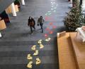 Bild: wro
Derzeit schmücken bunte Fußabdrücke die Aula der Berufsschule. Sie sind das äußere Zeichen dafür, dass sich die Einrichtung auf den Weg macht, eine Klimaschule zu werden.