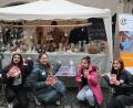 Bild: wrm
Klassen der Fachakademie für Sozialpädagogik in Neustadt und die Berufsintegrationsklasse gestalteten gemeinsam das Projekt.