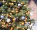 Bild: Gabi Schönberger
LED-Beleuchtung an einem Christbaum. Diese spart deutlich Strom im Vergleich zu herkömmlichen Glühlampen.